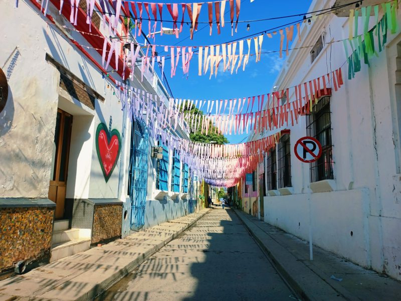 filter: 109; jpegRotation: 0; fileterIntensity: 1.000000; filterMask: 0; module:1facing:0; 
hw-remosaic: 0; 
touch: (-1.0, -1.0); 
modeInfo: ; 
sceneMode: Auto; 
cct_value: 0; 
AI_Scene: (6, -1); 
aec_lux: 0.0; 
hist255: 0.0; 
hist252~255: 0.0; 
hist0~15: 0.0;